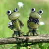 Kurbağa İkili Set