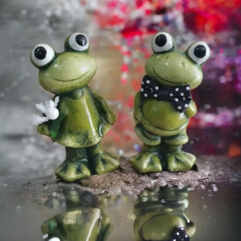 Kurbağa İkili Set