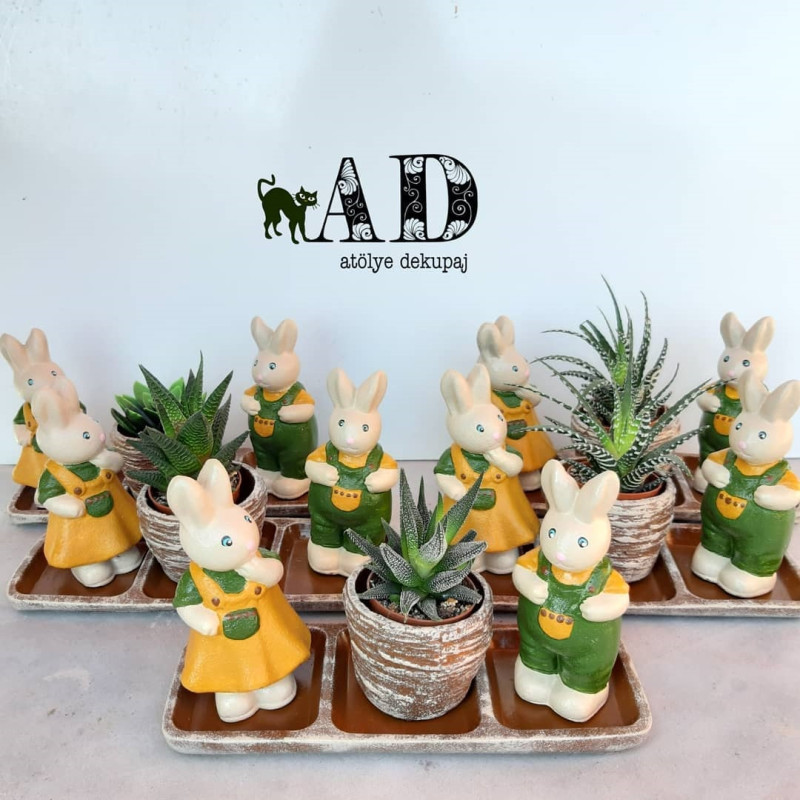 Tavşan Tabanlıklı Saksı Set