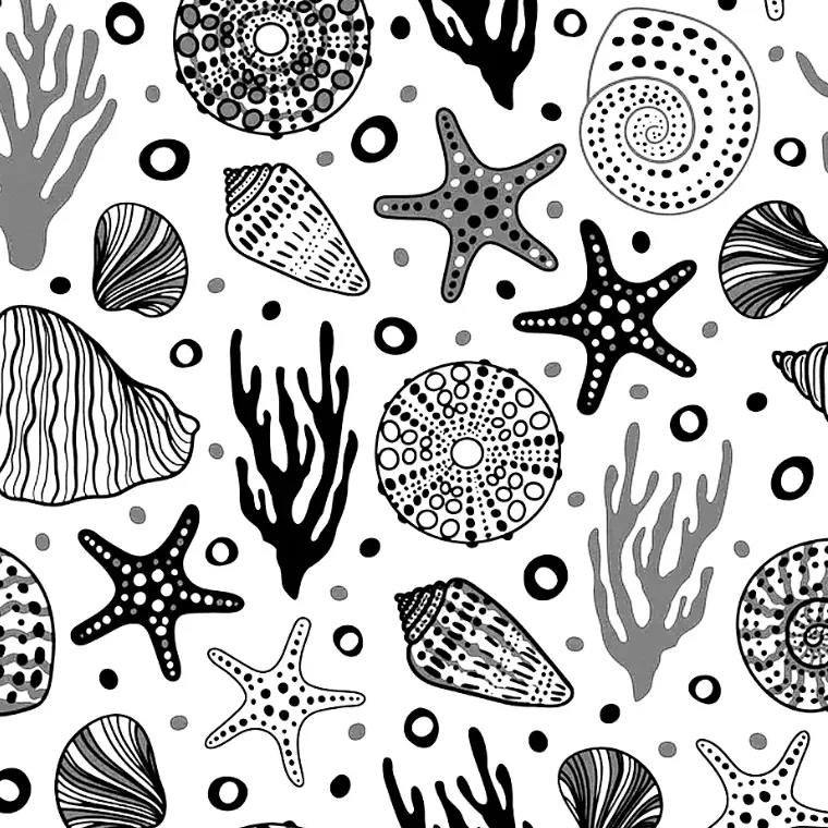 Model 054 - Deniz Kabuğu - Polimer Kil Doku Oklavası / Seramik Çamuru Desen Rulosu