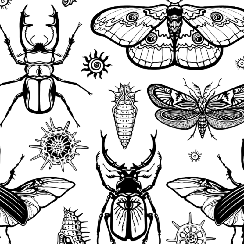 Model 057 - Polimer Kil Doku Oklavası / Seramik Çamuru Desen Rulosu